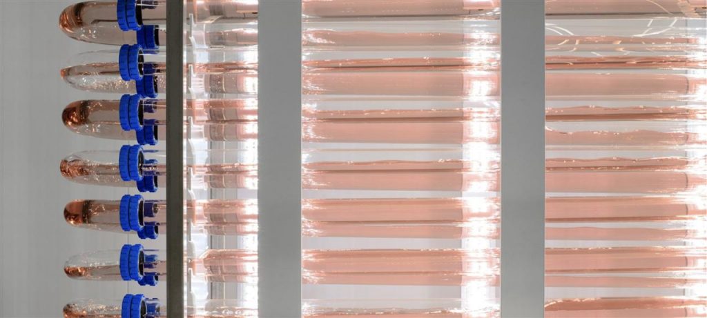 LGEM bioreactor algae systeem voor duurzame algenkweek in Nederland met innovatieve technologie